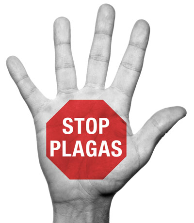 control de plagas