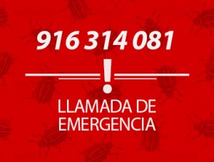 emergencia